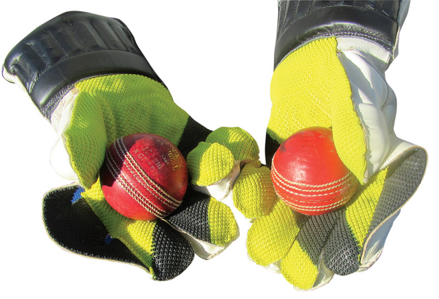 Wicketkeeping gloves